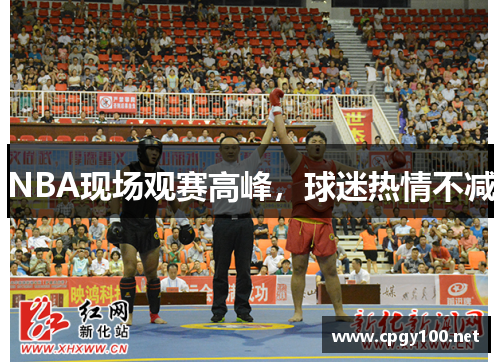 NBA现场观赛高峰，球迷热情不减